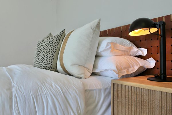 Nichoirs pour Oiseaux Rares : Guide Ultime pour Soutenir leur Préservation