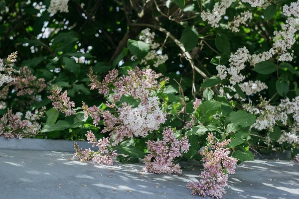 Démenager votre serre chauffée en toute sérénité : astuces indispensables pour un transport sûr et efficace